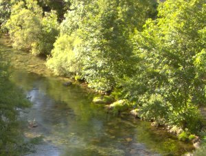 La Vis sous le pont de Madires